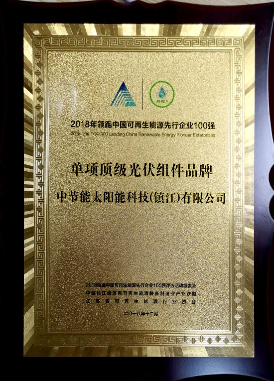 2018年领跑者中国可再生能源先行企业100强-单项顶级光伏组件品牌